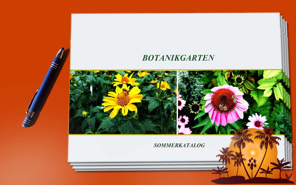 katalog l broschüre l flyer l cocolango