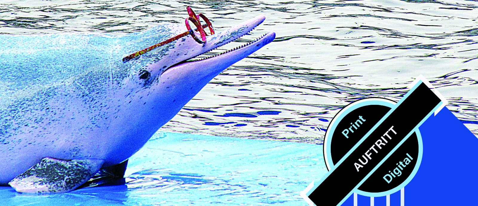 Grafikdesign Agentur Wien